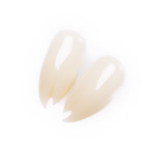 Two almond-shaped press-on nails in a glossy, warm cream or ivory shade, displayed on a solid white background.