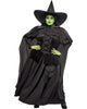 Witch costume with black hat, cloak, and green face on a white background