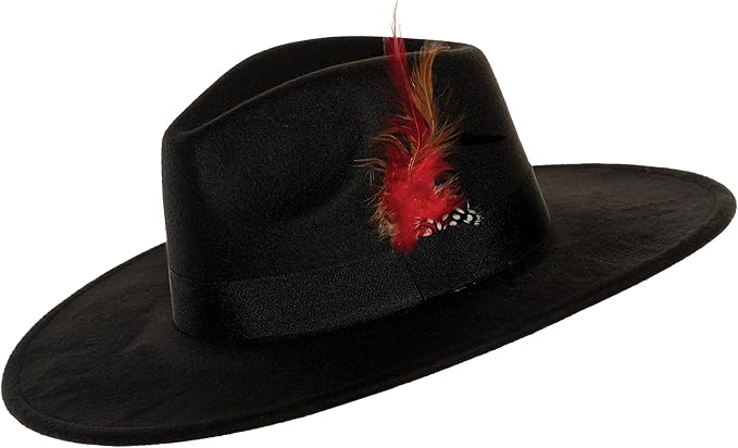 Black hat with a red feather on a white background