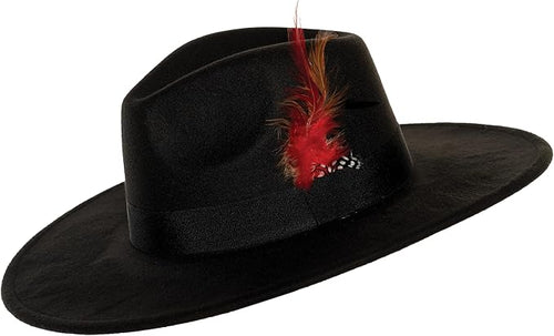 Black hat with a red feather on a white background