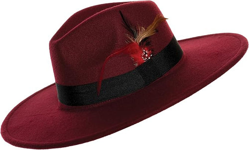 Red hat with a black band and feather on a white background