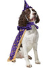 Dog wearing a wizard costume with a purple hat, cape, and wand on a white background