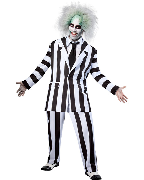 Beetlejuice Grand Heritage Adult Costume