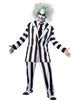 Beetlejuice Grand Heritage Adult Costume