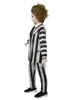 Beetlejuice Kids Costume