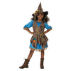 Little Miss Scarecrow Costume