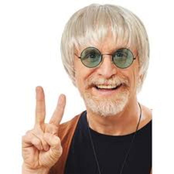 grey wig straight with bangs