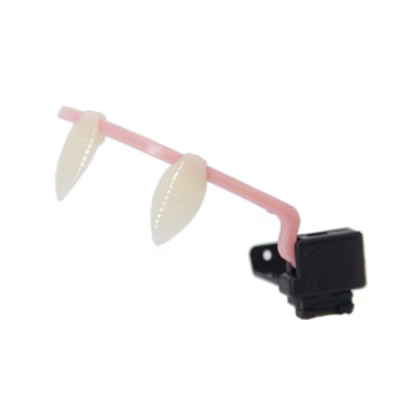 Retractable Fangs "Default Up"