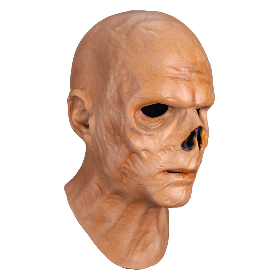Fallout - The Ghoul Mask