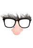 Geezer Nose Glasses for Adults