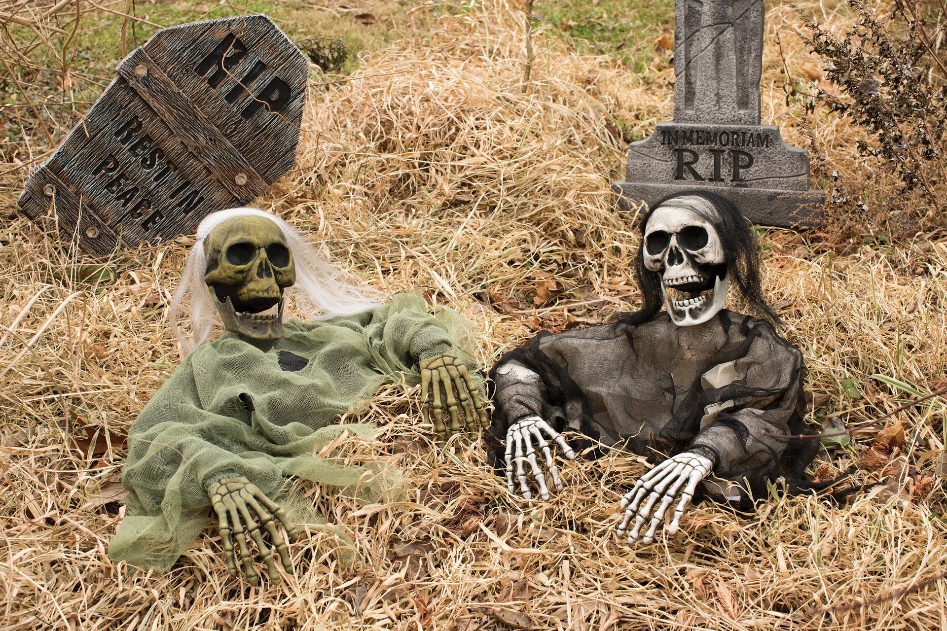 Grave Breaker | Halloween
