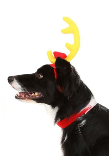 How the Grinch Stole Christmas Max Dog Costume