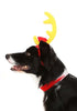 How the Grinch Stole Christmas Max Dog Costume