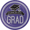 Purple 9in Paper Plates 18ct | Graduation