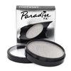 Paradise Makeup AQ™ | Full Size silver