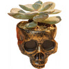 Mini Skull Planter/Bowl