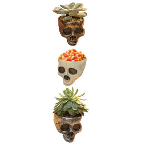 Mini Skull Planter/Bowl