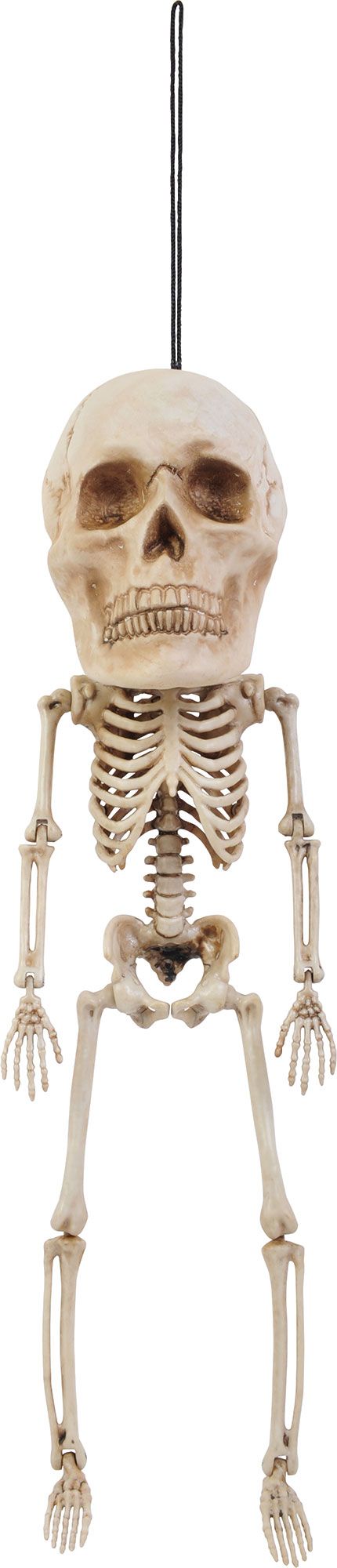 17" Big Head Skeleton