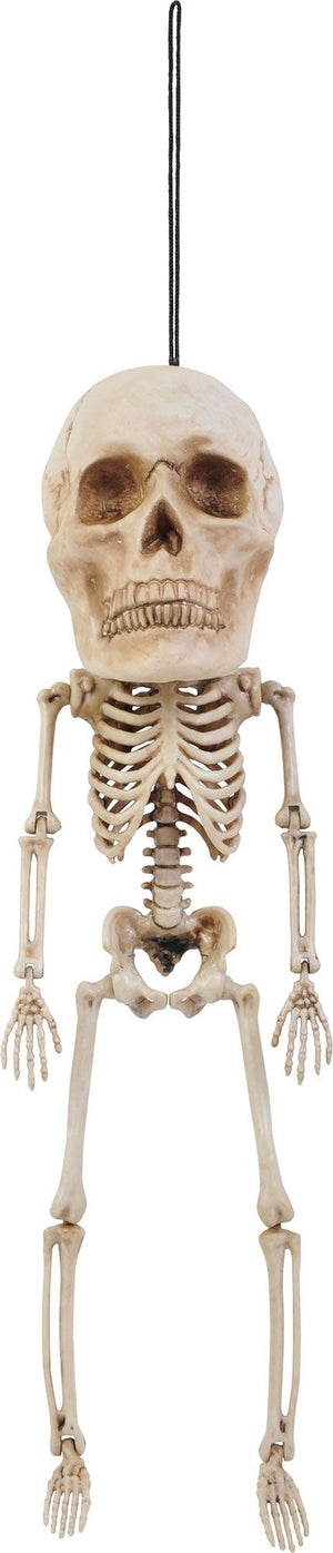 17" Big Head Skeleton