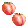 Peach: Fuzzy Sparkling Georgia Peaches Nipple Pasties | Pastease
