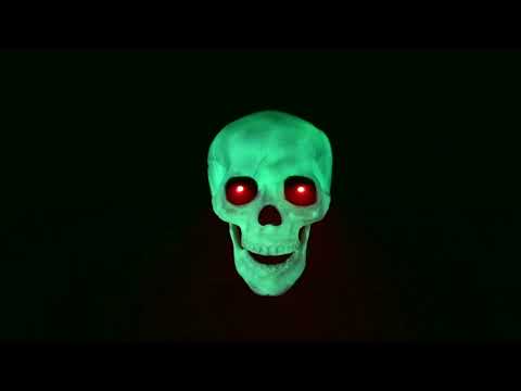 GID Skull Animated Hanging Deco
