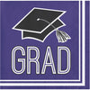 Purple Beverage Napkins 36ct | Graduation