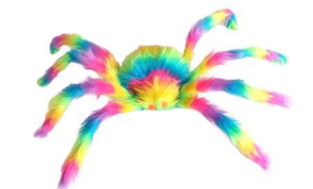 Rainbow Spider