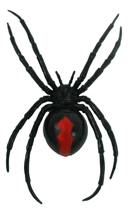 Magnetic Black Widow Spider