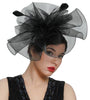Elegant Black Mesh Fascinator with Feather Accents