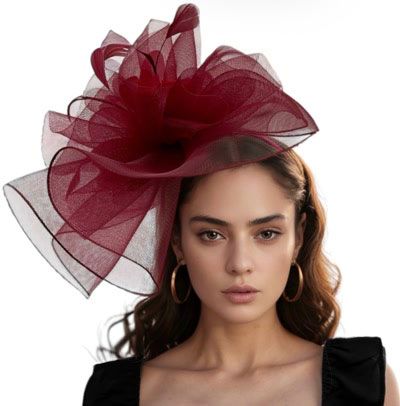 Elegant Burgundy Mesh Fascinator with Feather Accents