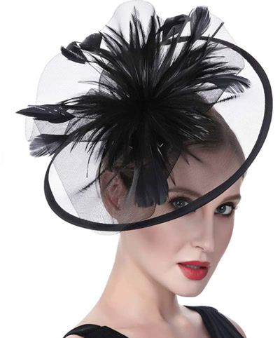 Black Feather Fascinator with Mesh Accent