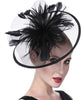 Black Feather Fascinator with Mesh Accent