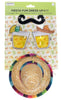 Fiesta Fun Accessory Kit
