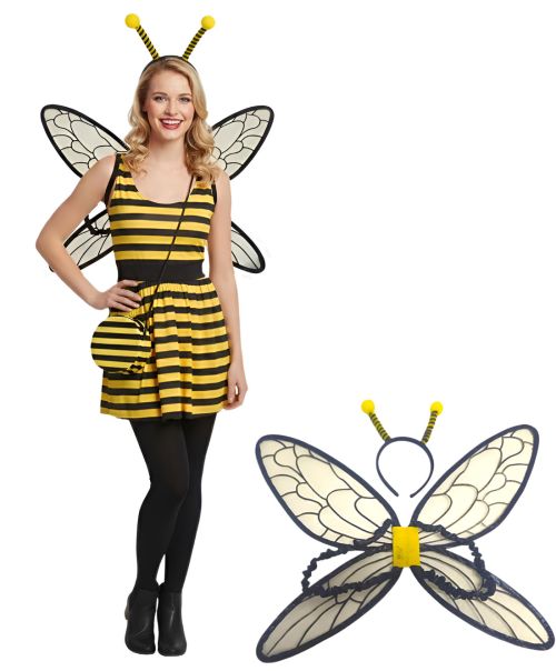 Bee Kit Wings & Headband