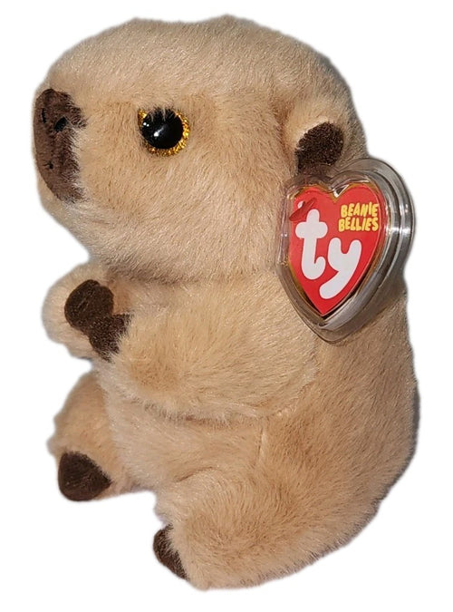 Lara Capybara | Ty Beanie Bellie