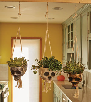 Hanging Skull Planter