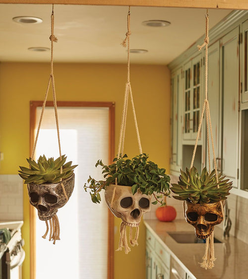 Hanging Skull Planter