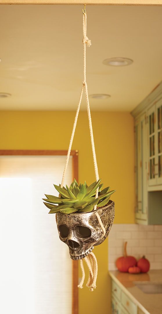 Hanging Skull Planter