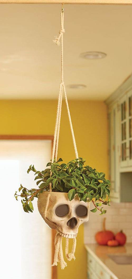 Hanging Skull Planter