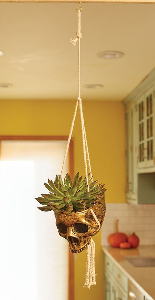 Hanging Skull Planter