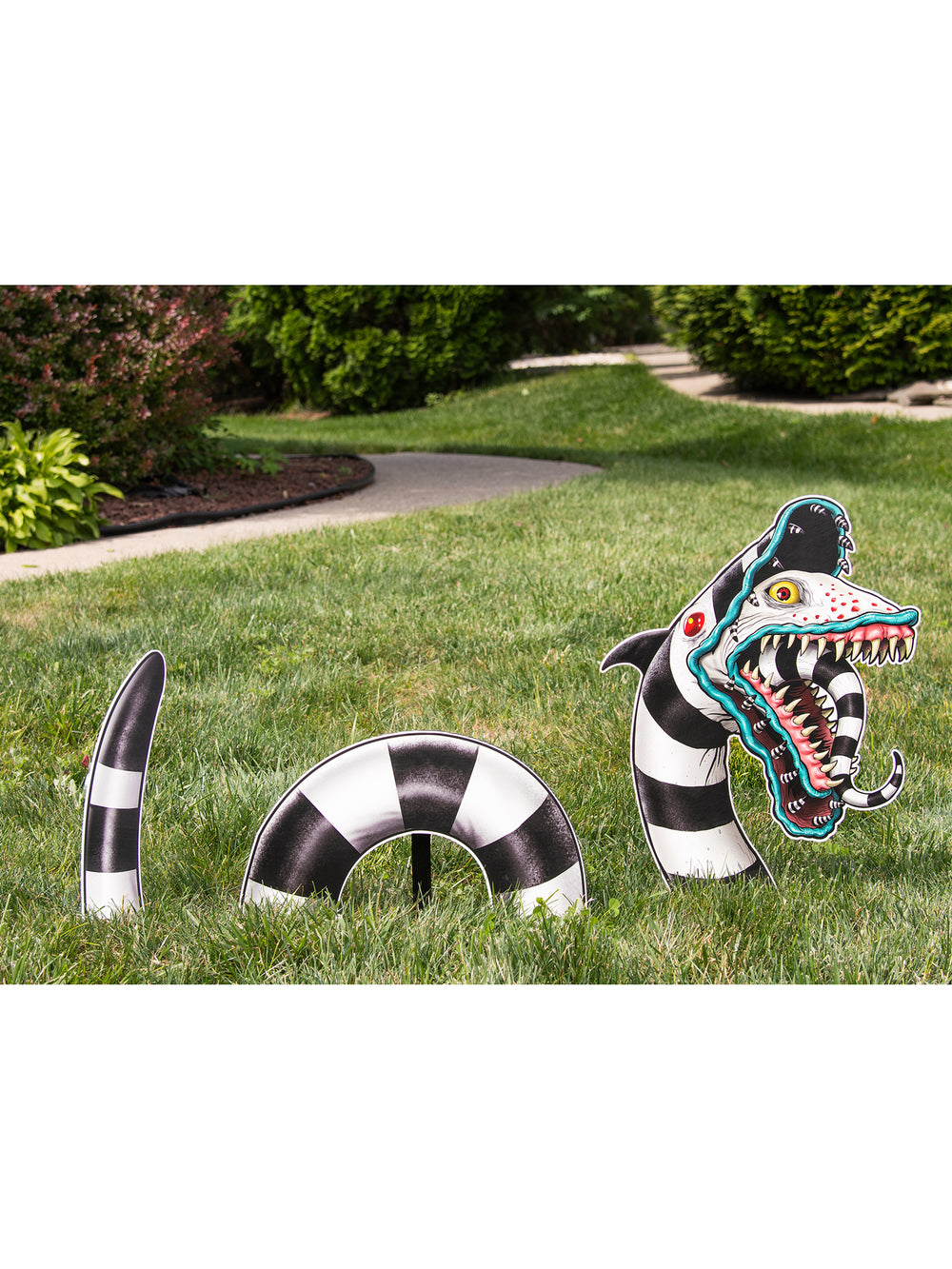 Sand Worm Ground Breaker