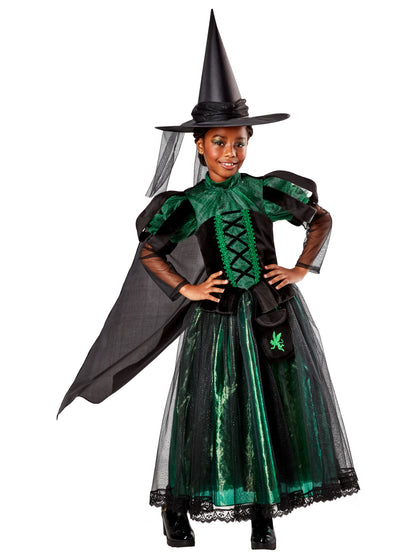 Wicked Witch Deluxe Kids Costume