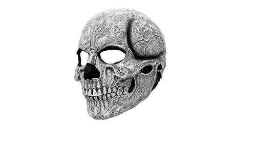 Perfect Fit Skull Mask