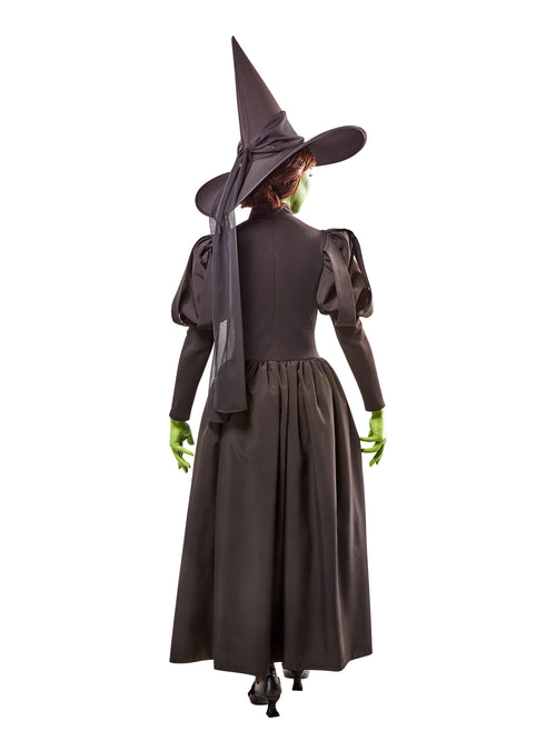 Wicked Witch Deluxe Adult Costume