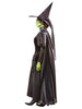 Wicked Witch Deluxe Adult Costume