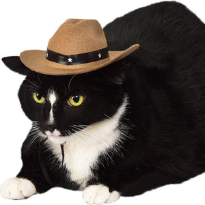pet cosutme