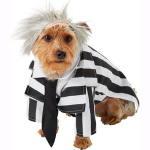 Beetlejuice Costume | Pet