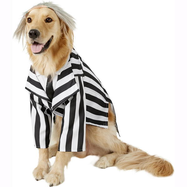 Beetlejuice Costume | Pet