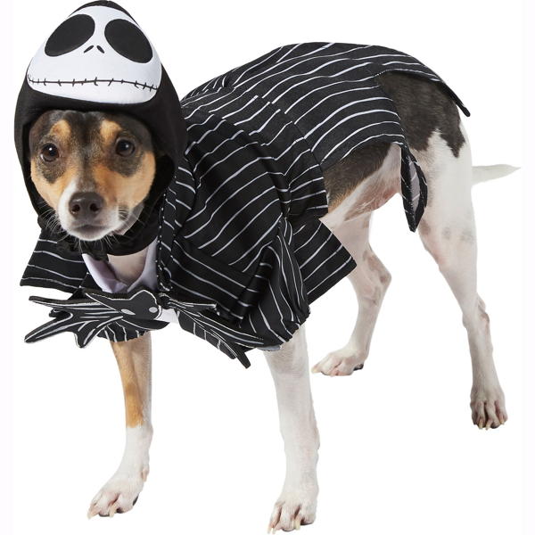 Jack Skellington | Pet (Clearance)