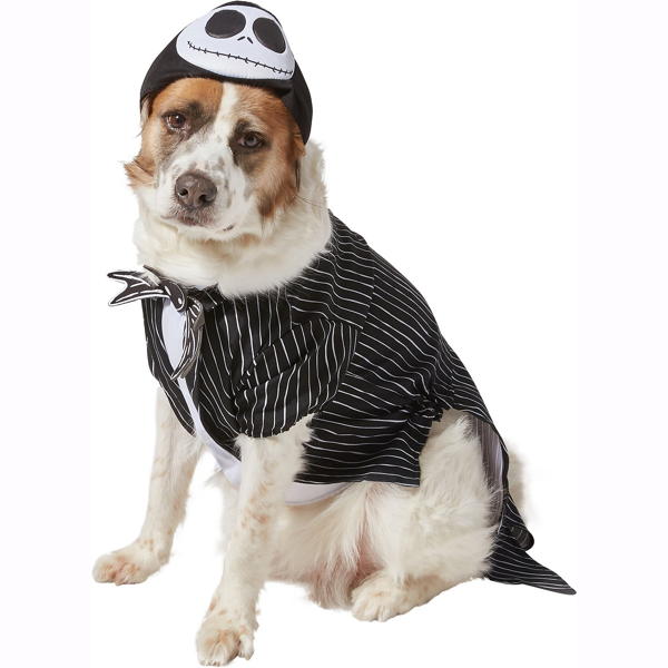 Jack Skellington | Pet (Clearance)